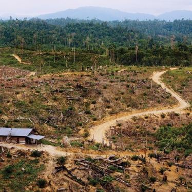 The village of Desa Sungai has lost its land and livelihood to a palm oil plantation. Singkil swamp rainforest, Aceh, Sumatra, Indonesia.