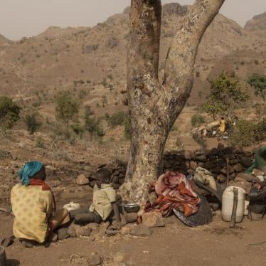  达尔富尔中部地区的戈洛人民因受到快速支援部队（RSF）的攻击而流离失所，图为2015年2月28日妇女和儿童坐在在叛军控制地区的树下的画面。
