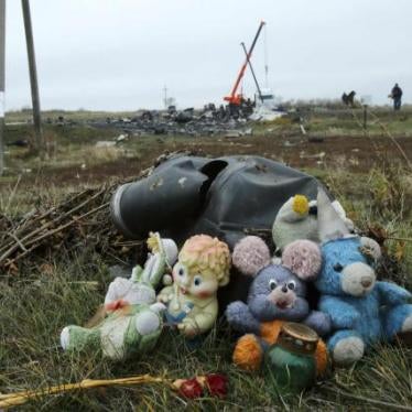 Soft toys are seen near the crash site of the Malaysia Airlines Boeing 777 plane (flight MH17) 