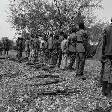 disarmament and release ceremony in Jonglei state