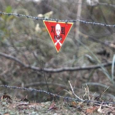 A sign indicating the presence of landmines hangs from a barbed wire fence inside the Demilitarized Zone separating North and South Korea October 27, 2010.