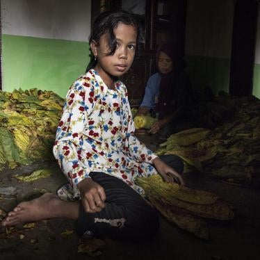 An 8-year-old girl sorts and bundles tobacco leaves by hand near Sampang, East Java.