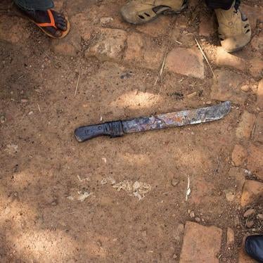 Machete used in the reprisal killing of two men 6 kilometers outside of Bambari, Central African Republic, on March 4, 2016.