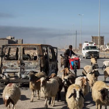 MENA-Iraq-Mosul-nove-2016-villagers-shephards-beaten