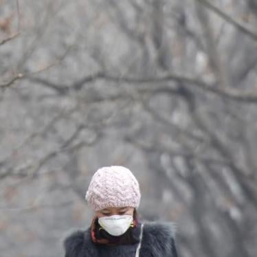 A woman wearing a protective mask makes her way on a heavily polluted day in Beijing, December 26, 2015.