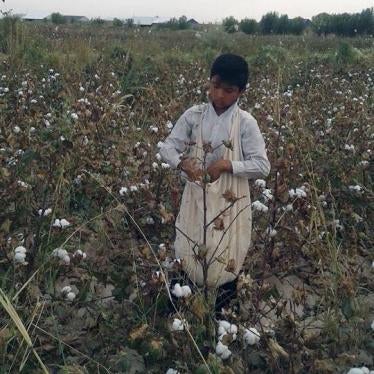 13-year-old boy picking cotton in a World Bank project area, Ellikkala, Karakalpakstan, under orders from his school during the 2016 harvest. 