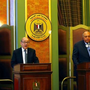French Foreign Minister Jean-Yves Le Drian (L) speaks during a joint news conference with Egyptian Foreign Minister Sameh Shoukry in Cairo, Egypt June 8, 2017. 