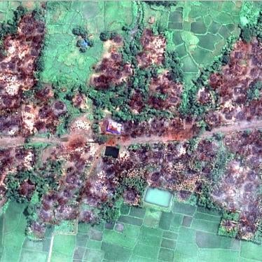Burma: Satellite Images Show Massive Fire Destruction