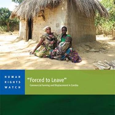 Cover for Zambia Report