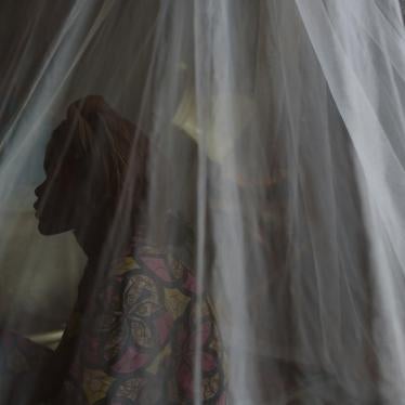 They Said We Are Their Slavesâ€: Sexual Violence by Armed Groups in the  Central African Republic | HRW