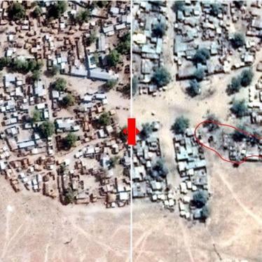 2017_Nigeria_Satellite_Images_Rann_FR