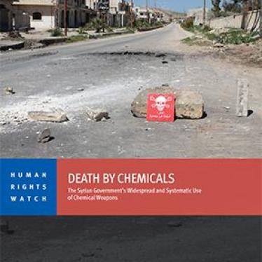 Cover of the Syria chemical weapons report