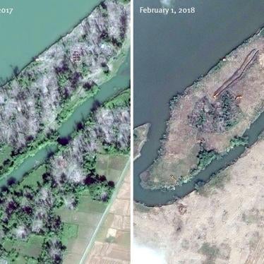 Satellite imagery recorded before and after the clearing of the destroyed village of Myar Zin.