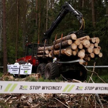 Environmental activists chain themselves to a logging machine during an action in the defence of one of the last primeval forests in Europe, Bialowieza forest, Poland May 24, 2017.