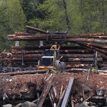 A workers unloads a truckload of logs in Howe Sound near Squamish, British Columbia, Canada April 25, 2017.