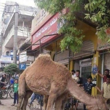 Camel in front of the Hussein’s studio which was turned into a butcher shop. © 2018 Private