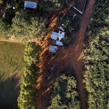 Drone view of a quilombo (Afro-Brazilian) community in Minas Gerais State, southeast Brazil. Some of the houses are around 20 meters from the adjacent sugarcane plantation. 