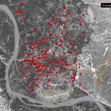 Satellite-analysis of US-led coalition air strike locations in Baghuz (19 January - 20 February 2019)
