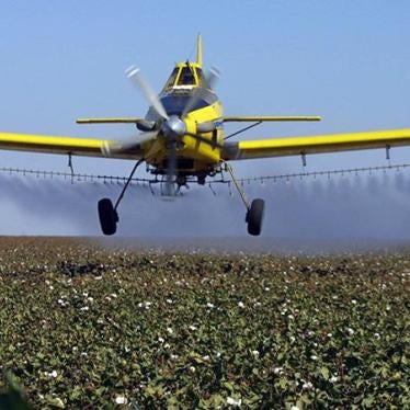 A crop dusting plane dusts cotton crops in Lemoore, California