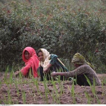 Pakistani women work in a field in Lahore.
