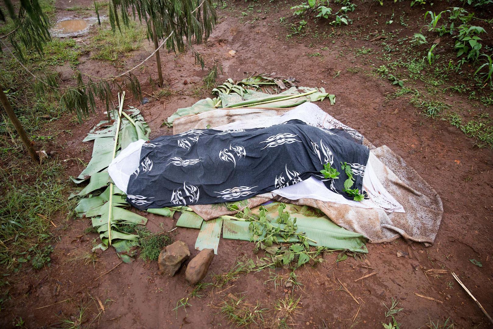 Cameroon: Killings, Destruction in Anglophone Regions